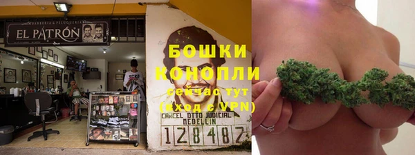 винт Ельня