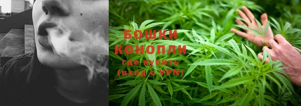 бошки Елизово
