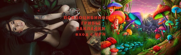 бошки Елизово