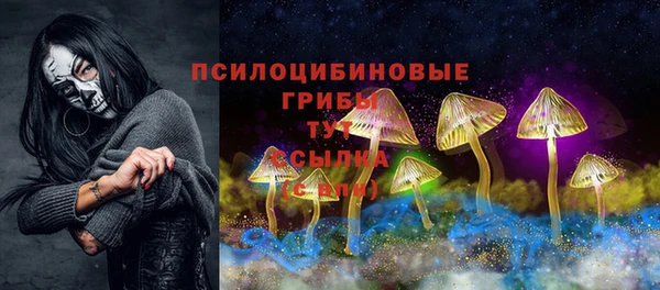 бошки Елизово