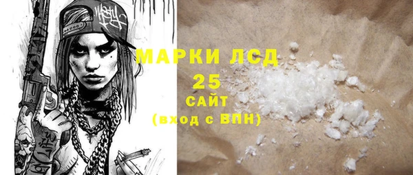 винт Ельня