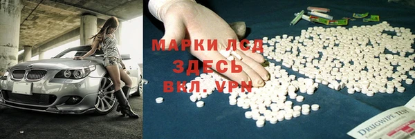 винт Ельня