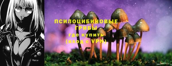 тгк Елабуга