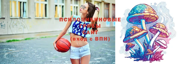 тгк Елабуга